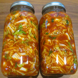 Vegan Kimchi 